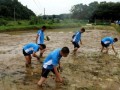 云浮市新兴县教育不听话青少年学校2026年十家学校参考清单！