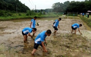 云浮市新兴县教育不听话青少年学校2026年十家学校参考清单！
