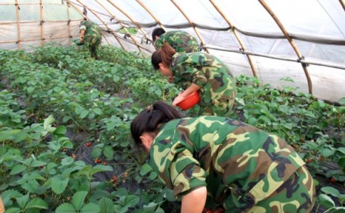 北京市石景山区厌学孩子教育学校先评估再入学,别急着给孩子贴标签!-第2张图片-旻正励志 北京市石景山区厌学孩子教育学校先评估再入学,别急着给孩子贴标签!-第2张图片-旻正励志